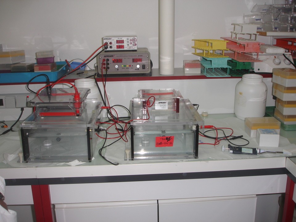 Formation risque chimique pour le laboratoire